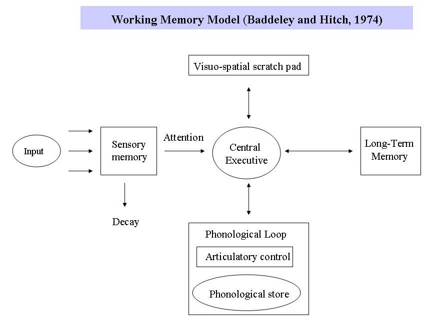 explain how a stored memory changes in working memory
